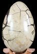 Septarian Dragon Egg Geode - Black Crystals #55493-3